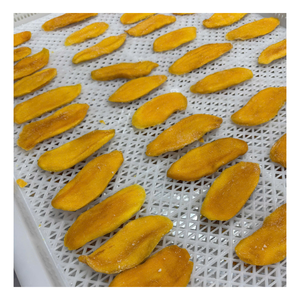 Proveedor de Rodajas de Mango Seco Suave de Vietnam, Bocadillo Tropical Suave y Masticable, Rico Sabor a Mango, Servicio de Exportación Directa de Fábrica - Product Image 6