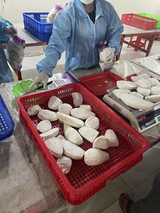 Taro Congelé de Haute Qualité Origine du Vietnam Cubes de Taro Dés IQF Qualité Exportation Meilleur Prix Fournisseur de Racine de Taro Congelé Vietnam - Product Image 4
