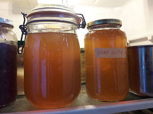 Terra Bio Naturals - Extracto Líquido de Jabón de Nuez Multiusos para Limpieza, Exportación al Mejor Precio, Fabricación en India - Product Image 3