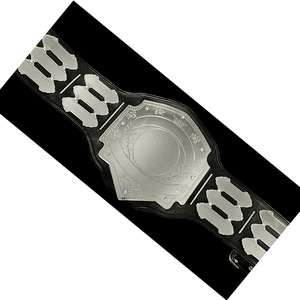 Ceintures de championnat légères de haute qualité pour la lutte, ceintures de championnat personnalisées pour l'entraînement martial - Product Image 5