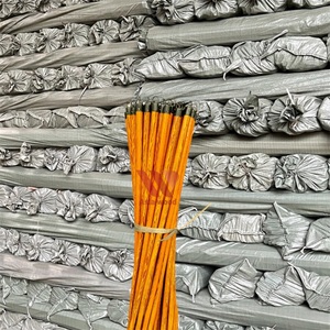 Escoba de madera recta recubierta de PVC de eucalipto para limpieza del hogar vietnamita, cabeza de alambre de plástico, diseño de madera de grano hecho en Vietnam - Product Image 1