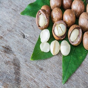 เม็ดแมคคาเดเมียออร์แกนิก สดใหม่จากธรรมชาติ อาหารเพื่อสุขภาพ โปรตีนสูง ไม่มีสารกันบูด ขายส่งจำนวนมาก คุณภาพส่งออก - Product Image 2