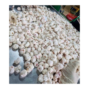 Mangostán Liofilizado de Alta Calidad, Suministro al por Mayor, Fabricante OEM ODM, Marca Privada, Vietnam - Product Image 6