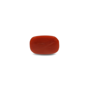 Natural Red Coral Oval Cabochon Loose Gemstone 11.7 Carat Certified Wholesale - Product Image 2