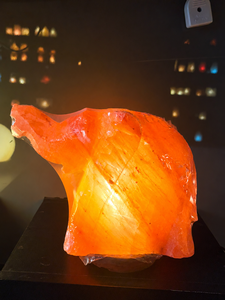 Lampe de sel artisanale en forme d'éléphant de l'Himalaya, écologique, avec interrupteur à intensité réglable, pour chambre et salon, par Sian Enterprises - Product Image 2