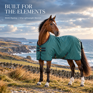 Manta para Caballo de Exterior Color Verde Azulado con Aislamiento de 50G |   Manta Impermeable y Transpirable de Ripstop 900D con Solapa Estándar para Cuello y Cola - Product Image 4