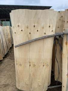 Contrachapado de eucalipto laminado con núcleo de madera de pino, acacia, caucho y abedul, grado mueble, personalizado - Product Image 4