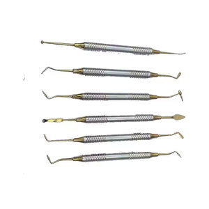 Kit de Instrumentos Dentales para Rellenos de Composite con Mango Dorado, Juego de 6 Instrumentos Profesionales de Restauración Dental - Product Image 4