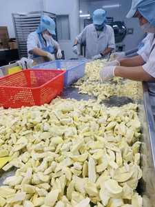 Freeze Dried Durian Made Of High Quality Durian Pulp Crispy Snack Base Vietnam Ready to Cook Best Selling by 99 Gold Data - Product Image 2