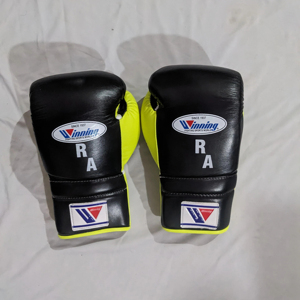 2025 nuevo estilo profesional Kick Boxing guantes ganadores 10oz 12oz 14oz 16oz cualquier color muñeca con cordones para lucha de artes marciales - Product Image 2