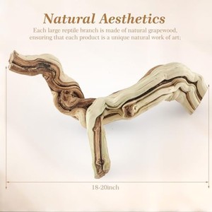 Figurine de lézard en bois de teck sculptée à la main - Design traditionnel écologique 20x10x5 cm Décoration d'intérieur - Vente en gros B2B - Product Image 3
