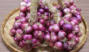 Oignons rouges de qualité export, sélection de la cuisine mondiale enrichie du Vietnam - Product Image 4