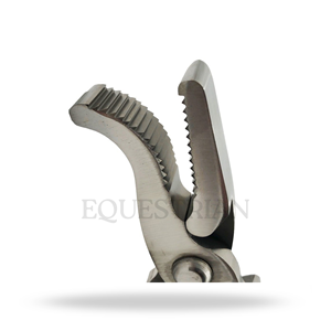 Outil vétérinaire pour le soin des sabots de cheval, pour le pose de sabots - Product Image 4