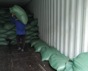 สาหร่ายทะเลแห้งแบบขายส่ง ปลูกในเวียดนาม ผลิตภัณฑ์ออร์แกนิกสดใหม่ 100% ความชื้น 18% วัตถุแปลกปลอม 2% ความยาว 5 ซม. - Product Image 5