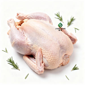 <span class=keywords><strong>Poulet</strong></span> entier congelé halal de qualité supérieure, vente en gros avec <span class=keywords><strong>livraison</strong></span> rapide - Product Image 6