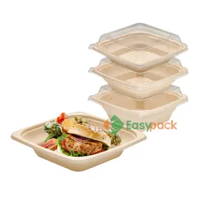 16 oz dùng một lần bột giấy bao bì thực phẩm container với nắp