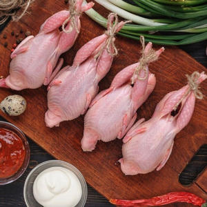 Codorniz Congelada Halal de Primera Calidad, Codorniz Fresca Congelada para Mercados de Exportación Internacionales - Product Image 1