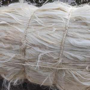 Fibre de sisal naturelle pour la production de roues de polissage - Product Image 6