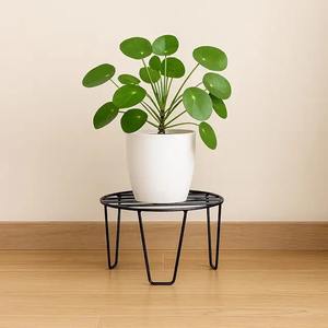 Jardinière surélevée robuste pour légumes, herbes et fleurs – Bac de culture extérieur pour balcon et terrasse - Product Image 5