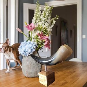 Corne de buffle naturelle artisanale pour décoration intérieure, pièce maîtresse pour salon, salle de séjour, décoration de la maison au meilleur prix - Product Image 5