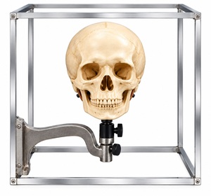 Pinza de sujeción cúbica para craniums, de latón, instrumento antropológico para craniometría, para investigación de anatomía y osteología en laboratorio, ESTÁNDAR - Product Image 4