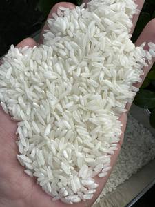 Arroz Blanco de Grano Largo Premium Riceland, Textura Ligera y Seca, Ideal para Comidas Diarias, Catering y Servicios de Alimentos, Alta Calidad - Product Image 6