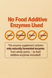 Poudre digestive à grains anciens Sachet d'enzymes Kamut Superfood organique OEM - Product Image 3
