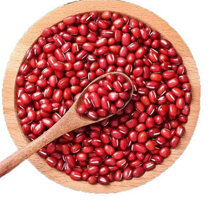 Proveedor de Frijoles Rojos de Primera Calidad, Exportador de Frijoles Secos Naturales para Compradores Internacionales e Industria Alimentaria - Product Image 5