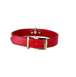 Collar de Perro Acolchado de Cuero Resistente para Entrenamiento Diario y Paseos al Mejor Precio al por Mayor - Product Image 6
