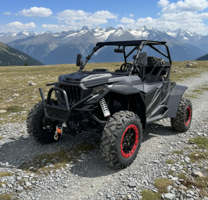 Chinesisches Tongcai SSV 800cc 2-Sitzer Automatik 2-Takt Kettenantrieb Geländefahrzeug für Wüste, Strand und Bauernhof mit 100 km/h Höchstgeschwindigkeit - Product Image 2