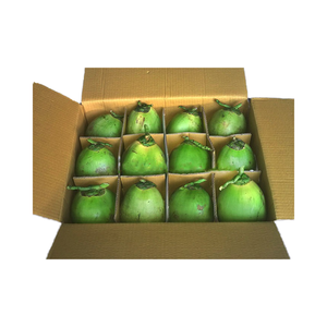 น้ำมะพร้าวอ่อนสดพรีเมียมธรรมชาติ รสหวาน น้ำมะพร้าวเข้มข้น เนื้อเนียนนุ่ม อายุการเก็บรักษา 60 วัน ขายส่งจากเวียดนาม - Product Image 1