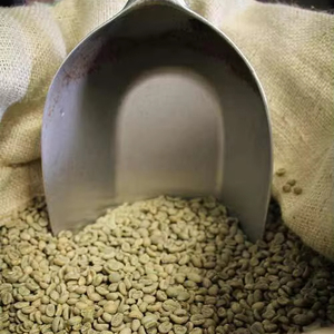 Granos de Café Verde Robusta Orgánico Sostenible, Tamaño 16, Vietnam, Alta Calidad, Certificado USDA Orgánico, Marca TNFOOD, Grado AA+, 1000 kg - Product Image 1