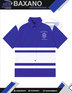 Zeta Phi Beta ZPB Sorority Women's Striped Button <b>Down</b> Shirt Short Sleeve Blue White Color blocking Casual Spring Summer T-shirt - Product Image 4