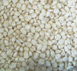 ข้าวโพดขาวเกรดพรีเมียม อาหารเกรดพรีเมียม ข้าวโพดขาวขายส่ง ผู้จัดจำหน่ายข้าวโพดขาว ผู้ส่งออกข้าวโพดขาว ผู้ผลิตข้าวโพดขาว ข้าวโพดขาว - Product Image 2