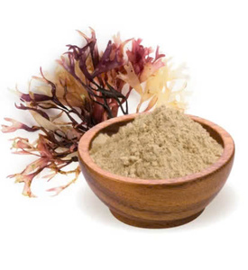 ผงมอสทะเลธรรมชาติ – ส่วนผสมซูเปอร์ฟู้ดคุณภาพสูง // มิสเตอร์ทอม - Product Image 1