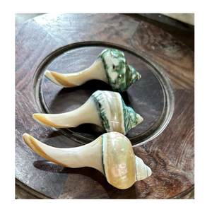 Reposapalillos de Concha Natural Hecho a Mano, Soporte de Concha Marina Ecológico, Apto para Lavavajillas, para Mesa de Comedor Japonesa, Coreana, Restaurante de Sushi - Product Image 1