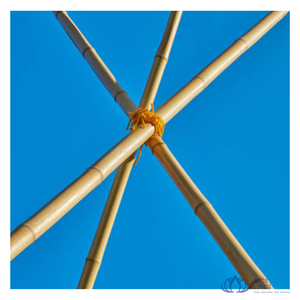 [MEJOR CALIFICADO] |   Varas de Bambú Crudas para Soporte de Plantas Agrícolas, Material de Construcción de Alta Resistencia, Suministro de Vietnam - Product Image 1