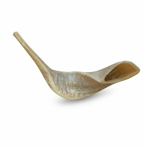 Shofar de Cuerno de Carnero Pulido de Alta Calidad Hecho a Mano y Personalizado, Instrumento Ecológico para Ceremonias Tradicionales Judías y Reuniones Religiosas - Product Image 2