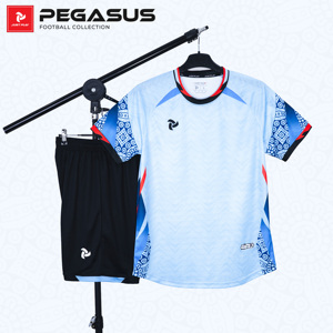 ชุดฟุตบอล OEM ODM แบบกำหนดเอง Pegasus สำหรับเด็ก แห้งเร็ว ระบายอากาศได้ดี ชุดฟุตบอล 100% โพลีเอสเตอร์ สีตัดต่อ สำหรับผู้ชาย ผู้หญิง และเด็ก - Product Image 3