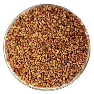 Extracto de Semilla de Alfalfa Medicago Sativa Grado A+ Extraído con Solvente, Fabricante Patil Foods India - Product Image 1