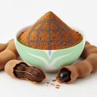 Poudre de Tamarin Biologique Séchée par Pulvérisation 80-100 Mesh Fine, Conditionnement en Vrac Sous Vide, Certifiée Halal Kosher FSSAI, Sans Sucre Ajouté, Faible Teneur en Humidité
