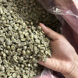Wholesale Vietnam Organic Robusta Coffee <b>Beans</b> S16, Foreign Matter 0.1%, Premium Grade, USDA & ISO 22000 Certified - Product Image 1