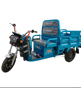 Mini-rickshaw électrique certifié CE, nouveau style, moto à 3 roues avec carrosserie ouverte, tension 60V, pour passagers adultes et transport de marchandises - Product Image 4