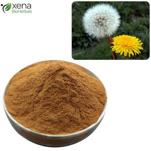 Extracto de Diente de León en Polvo de Marca Privada, Apoyo Digestivo, Extracto de Planta, Proveedor OEM - Product Image 1