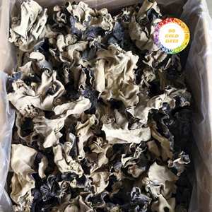 Élégantes champignons kikurage en forme de nuage, fabriqués au Vietnam, pour la cuisine gastronomique et les articles végétaux naturels les plus vendus - Product Image 3