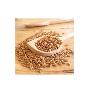 Protéine de blé de qualité supérieure en gros, qualité alimentaire premium, stock disponible, service OEM, fabricant exportateur - Product Image 5