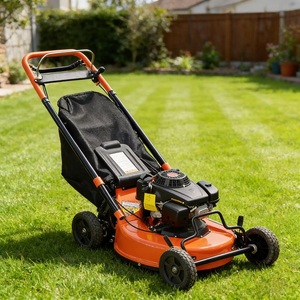 Tondeuse autoportée industrielle télécommandée à essence monocylindre avec lame en acier 16HP, zéro-turn, 28V, 1000mm, 452cc, avec bac de ramassage - Product Image 2