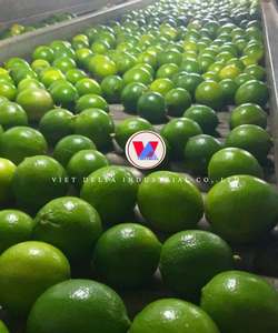 Limón Fresco Sin Semillas del Delta de Vietnam, Fruta Cítrica Orgánica de Calidad de Exportación/Ms. Kelly - Product Image 2