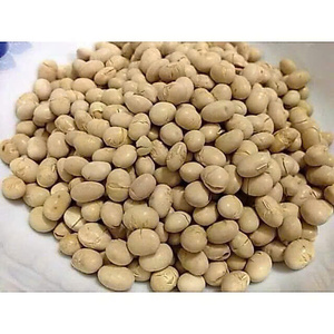 Snack de Soja Tostada Crujiente y Seca Kim Long, Sabor a Sal Marina, Origen Vietnam, 0.5kg, 12 Meses de Caducidad, Perfectamente Saludable - Product Image 6