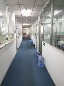 Fabricante de China, joyería, diseño fabuloso, gama alta, 18K, oro amarillo sólido, Natural Diamante, perla, rubí, banda de medio camino para mujer - Product Image 6